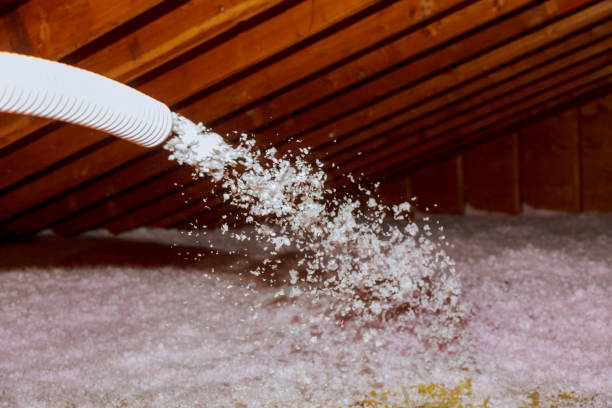 Best Insulation Installation Services in Millbury, OH